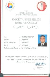 Sigorta Eksperliği Belgeleri